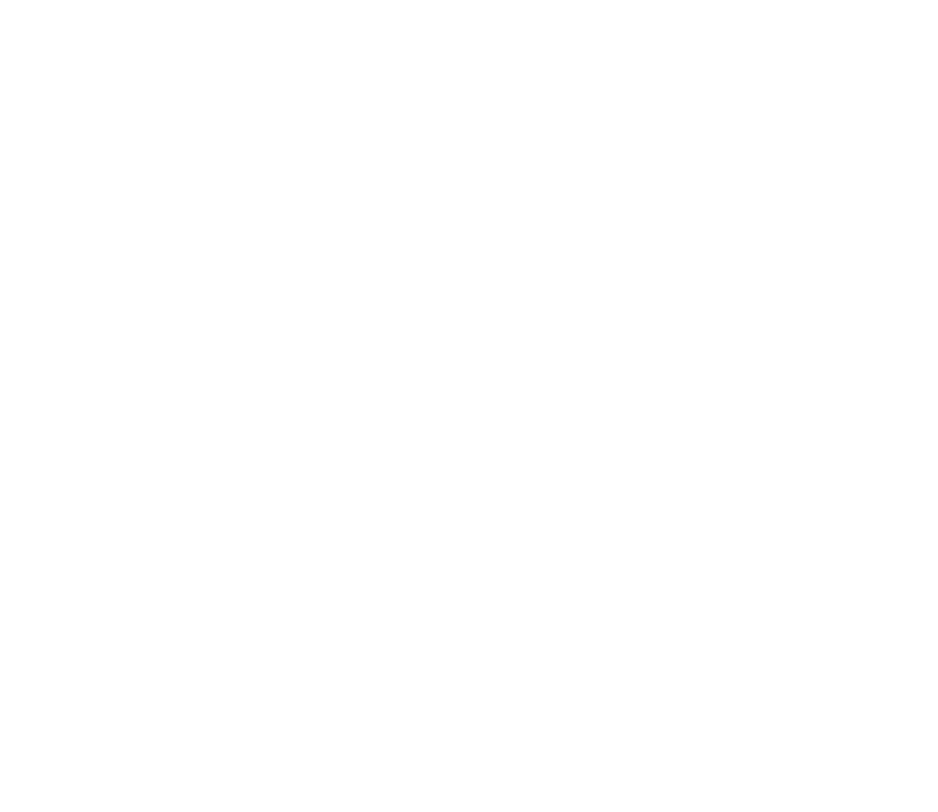 Reisewitz_Logo_nurHexagon_weiß_2022